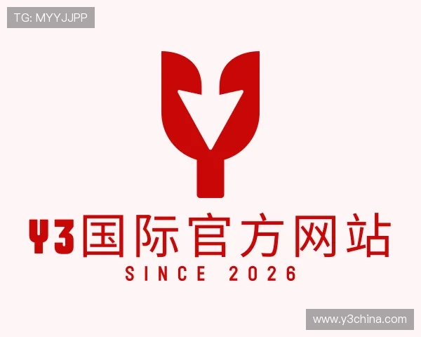 关于Y3国际官方网站